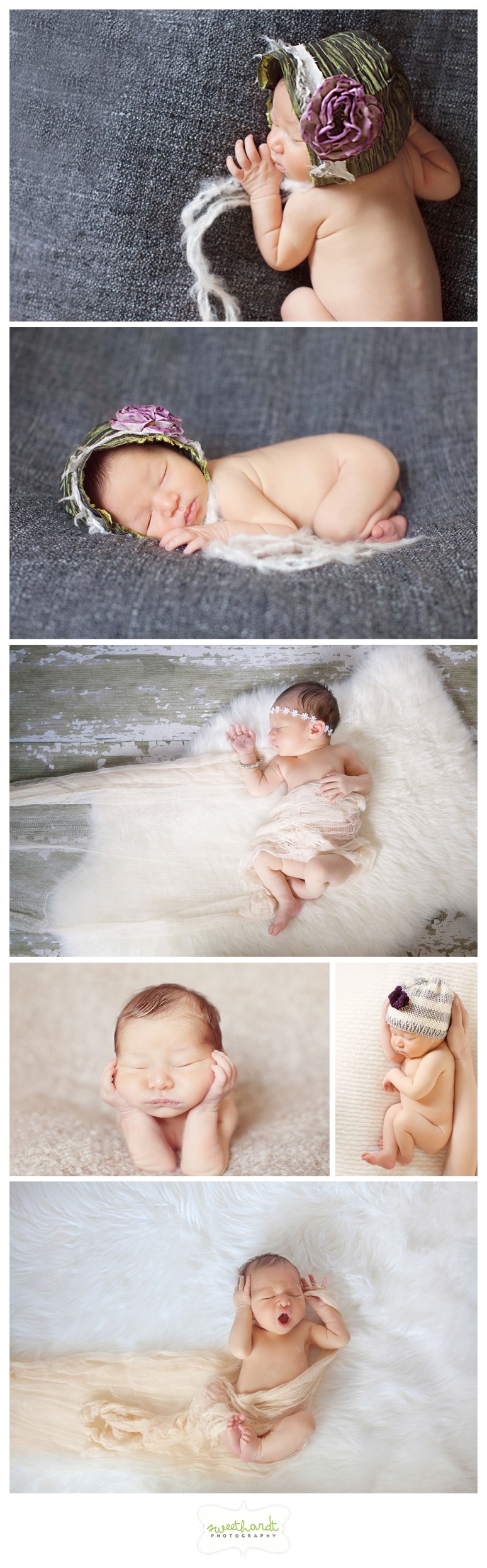 Newborn Session | Talia